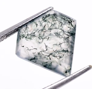 Natural Moss Agate Calibrated Kite 14X14mm Loose Gemstone Gift For Lovers 6 Ct. - Imagen 1 de 6