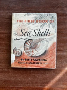 The First Book of Sea Shells ; Betty Cavanna ; 1955, 1er tirage ; F. Watts HC DJ ExL - Photo 1/11