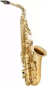 Schönes Altsaxophon klar lackiert, voller warmer Klang, ideal für Einsteiger - Bild 1 von 10