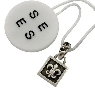 CORAZONES CROMADOS Enmarcado BS Acampanado Colgante Cabeza Colgante Plata 925 Plata... Foto 1 de 4