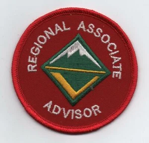 Consigliere Regionale Associato (1998-attuale) Patch Posizione, Retro "Dal 1910" - Foto 1 di 1