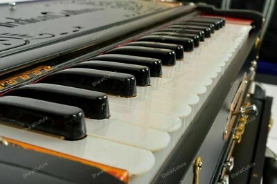 Instrumento Musical 9 Escala Cambiador 3 Cañas Negro Mate Acabado Armonio Portátil Foto 1 de 4