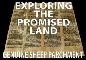 TORAH BIBLE SCROLL VELLUM MANUSCRIPT FRAGMENT 350 YRS ITALY Numbers 12:12-14:42 - Picture 1 of 10