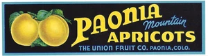 Original PAONIA Colorado mountain apricot crate label Paonia blue border - Picture 1 of 1