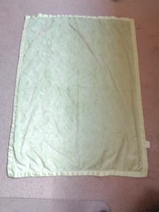 BANCHETTO BAMBINO DISNEY VERDE CHIARO PILE BORDO RASO WHINNIE THE POOH/DRAGONFLY - Foto 1 di 6