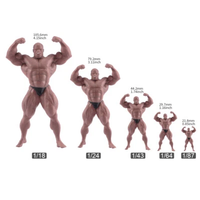 1/18 1/24 1/43 1/64 1/87 Miniaturas Fitness Muscle Man Escena Figuras Para Coches Foto 1 de 4