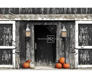 Kate Spooky Halloween Scheune Hintergrund entworfen von Mandy Ringe Photography 17 - Bild 1 von 3