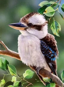 5D Diamond Painting Kit Full Round Drill Kookaburra 30X40 CM Art Craft DYI - Picture 1 of 3