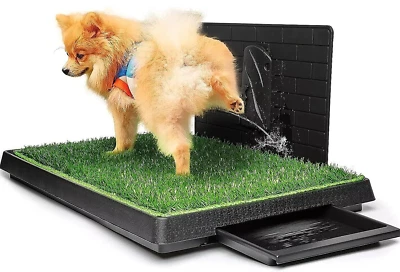 Almohadilla de césped grande para perros con bandeja y deflector para orinar, entrenamiento reutilizable para ir al baño de césped para cachorros Foto 1 de 4