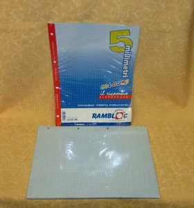 RICAMBI RINFORZATI 5MM FORMATO A4 40 FOGLI AZZURRO QUADRETTI  cod.20098 - Imagen 1 de 1