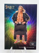 2023 Panini Select WWE Ultimate Warrior Color Wheel SSP - B