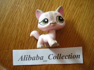 ** # 1326 CAT CHAT MAINE ** LPS LITTLEST PETSHOP PET SHOP HASBRO - Imagen 1 de 2