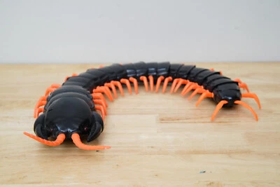 Ciempiés Animal Planet Toys R Us 21" con control remoto negro naranja sin cargador sin probar Foto 1 de 4