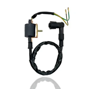IGNITION COIL COOLSTER 110CC 125CC 3050A 3050B ATV QUAD FOUR WHEELER DIRT BIKE - Picture 1 of 9