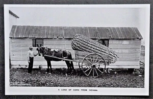 Indiana Real Photo Postcard Exxageration Farmer w Cart and Giant Ear of Corn  - Picture 1 of 2