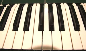 Repuesto Sintetizador Yamaha DX-9 DX-21 DX-27 G Llave De Usado Sintetizador - Imagen 1 de 2