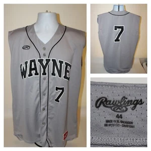 Fort Wayne Wizards Rawlings Minor League Baseball Jersey #7 Button Up Sleeveless - Picture 1 of 9