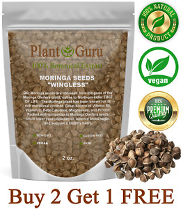 200 Moringa Oleifera Seeds 2 oz. WINGLESS Fresh Organic Semillas de Moringa Tree
