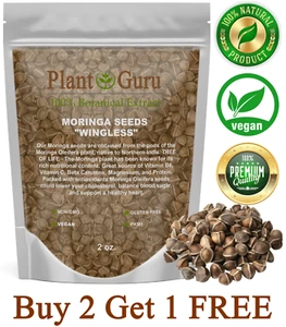 200 Moringa Oleifera Seeds 2 oz. WINGLESS Fresh Organic Semillas de Moringa Tree - Picture 1 of 17