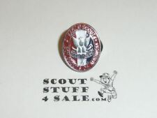 Eagle Scout Enameled Lapel Pin, 3/4" Tall, From  1980s - GREAT EAGLE SCOUT GIFT 