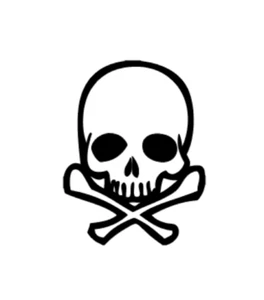 SKULL sticker/decal funny car/van bumper window joke VW BMW AUDI SEAT SKODA - Picture 1 of 3