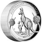 Srebrna moneta Kangur 2020 - Australia - w etui - wysoka płaskorzeźba - 5 uncji PP