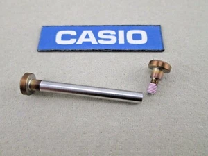 Casio G-Shock Frogman Rainbow Borneo GWF-A1000BRT post and screw for band - Picture 1 of 5