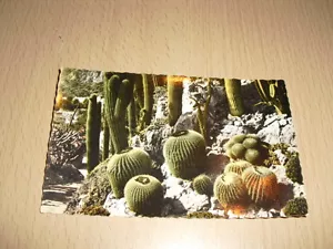 CPA Carte Postale Ancienne Principauté de Monaco "Le jardin exotique" - Picture 1 of 1