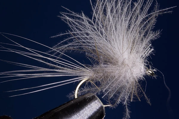 Fliegentom Trockenfliege - 3 Stück CDC-Dun graubraun - Bild 1 von 1