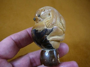 (TNE-OTT-338A) brown sea Otter Nutria TAGUA NUT Figurine Vegetable OTTERS - Picture 1 of 1