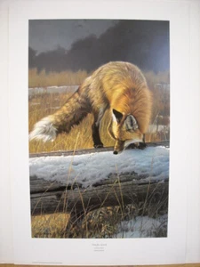 Nancy Glazier Out For Lunch Red Fox Signed Ltd Ed Wildlife Art Print New - Picture 1 of 1