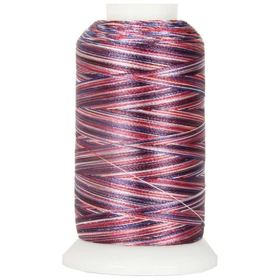 Variegated Polyester Embroidery Thread - 40wt - 1000m - 25 Colors Available -... - Image 1 of 4