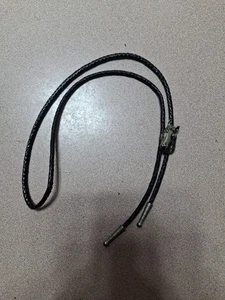 Testa di cavallo Bolo - M2 - Foto 1 di 3