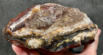 Laguna Lace Agate Rough *1.58 pounds - Mexico! - Image 1 of 4