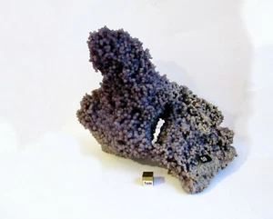 Cristal de calcedonia púrpura púrpura ágata uva 1240 g Indonesia ba59 - Imagen 1 de 8