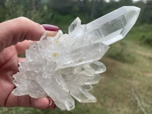 Racimo de cristal de cuarzo transparente de Zambia 1,04 lb 5,03" - Imagen 1 de 13