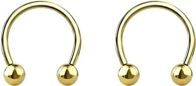 Aros de barra circular herradura tabique titanio 16G F-138 8 mm 11 mm Foto 1 de 4