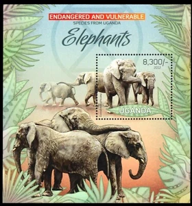 UGANDA 2018 - African Elephant "Loxodonta africana" (pb63893) - Picture 1 of 1