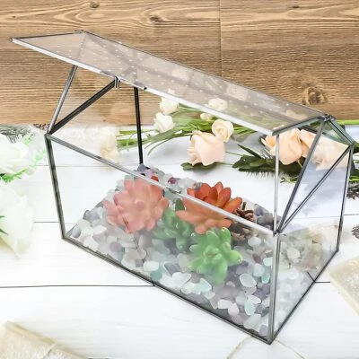 10.3x8.3x5.9 inch Large Geometric Terrarium for Succulents & Small Creatures - Image 1 of 4