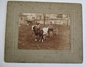 Antique Photo of Young Boy and Goat Cart Wagon - Picture 1 of 2