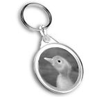 Keyring Circle - BW - Newborn Baby Gosling Chick Bird  #37257