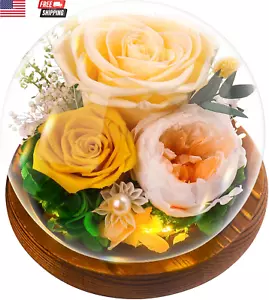 Valentines Day Gifts for Her - Preserved Eternal Rose in Glass Dome,Real Flowers - Picture 1 of 12