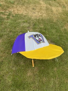 Vintage University of Washington Huskies Umbrella Capbrella Hat Shaped Retro - Picture 1 of 20