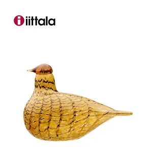 Iittala Oiva Toikka Bird Birds 2006 Summer Grouse 150 x 110 mm NEW Gift Box - Picture 1 of 13