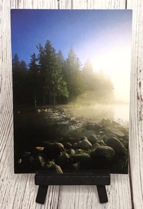 Mississippi Headwaters Itasca State Park Minnesota MN Postcard - Picture 1 of 4