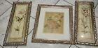 Peoni & Orchid JC Penney Framed/Matted Print Orchid 22"x10", U Get All 3 As Seen