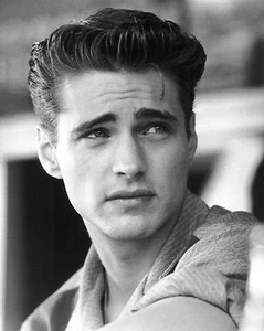 Foto brillante de Jason Priestley 8x10 1 - Imagen 1 de 1