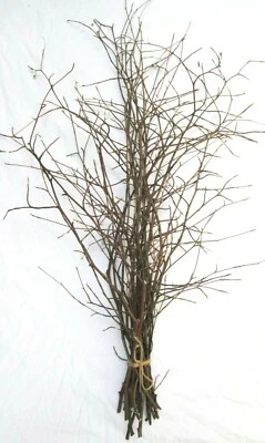 Tall Floor Natural Eco Beech Hornbeam Stick Branch Bundle Decor 30 Branches 90cm - Image 1 of 4
