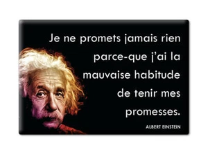 ALBERT EINSTEIN APHORISMES CITATIONS "PARCE-QUE MAUVAISE PROMESSES" AIMANT -32 - Picture 1 of 8