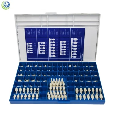 NUEVO KIT DE CAJA CORONAS DENTALES TEMPORALES DE POLICARBONATO 360 PIEZAS CON GUÍAS DE MOLDE DE CORONA Foto 1 de 4